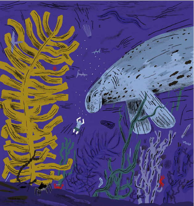 ilustrace: Jakub Bachorík