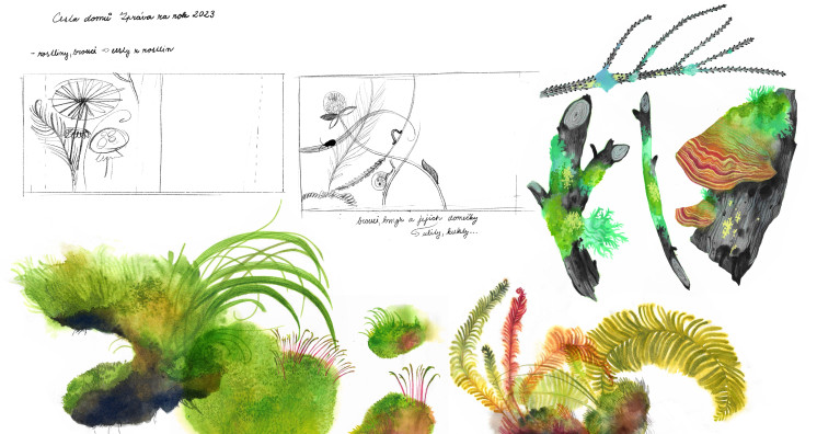 Kateřina Coufalová_zpráva za rok 2023 v Cestě domů