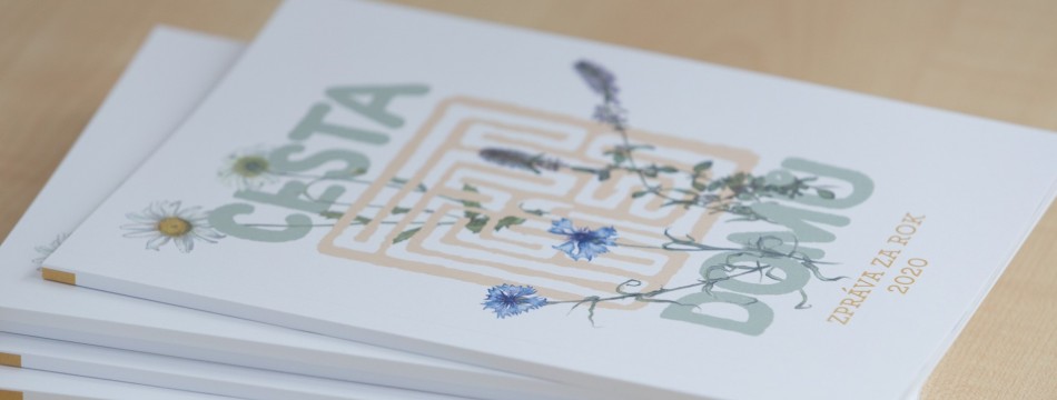 Zpráva za rok 2020 | foto Jan Šilar