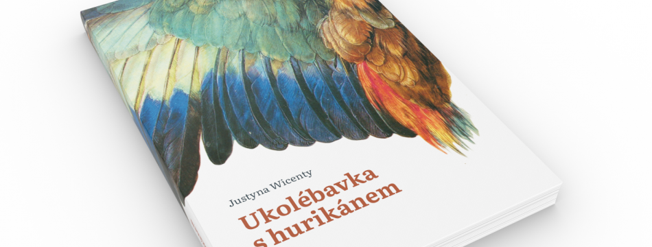 Ukolébavka s hurikánem