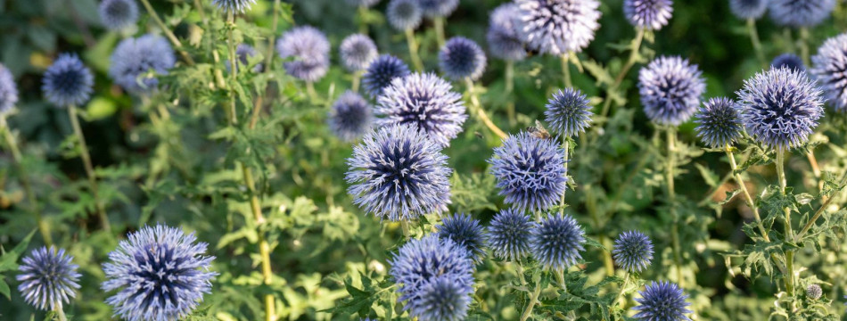 Podpůrná skupina pro rodiče po perinatální ztrátě_Cesta domů