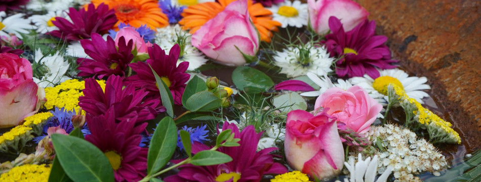 Cesta domů_provázení pro pozůstalé