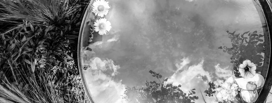 podpora pro lidi z Ukrajiny_Umírání.cz