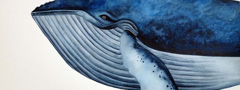 Pavla Hroudová Velryba