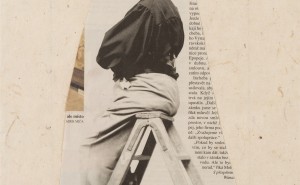 Jiří Kovanda - Bez názvu (Mucha při práci) - číslo v katalogu 040