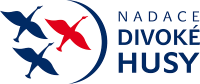 Nadace Divoké husy