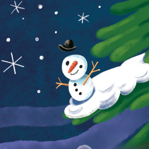 Vánoční dárek 3 000 Kč