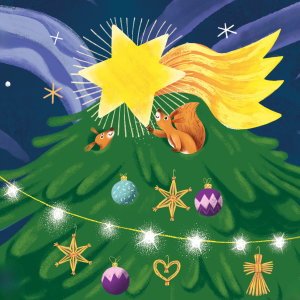 Vánoční dar 16 000 Kč